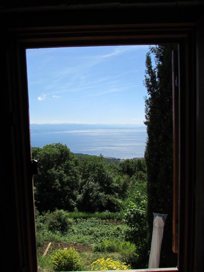 Villa CaStella Poljane Esterno foto