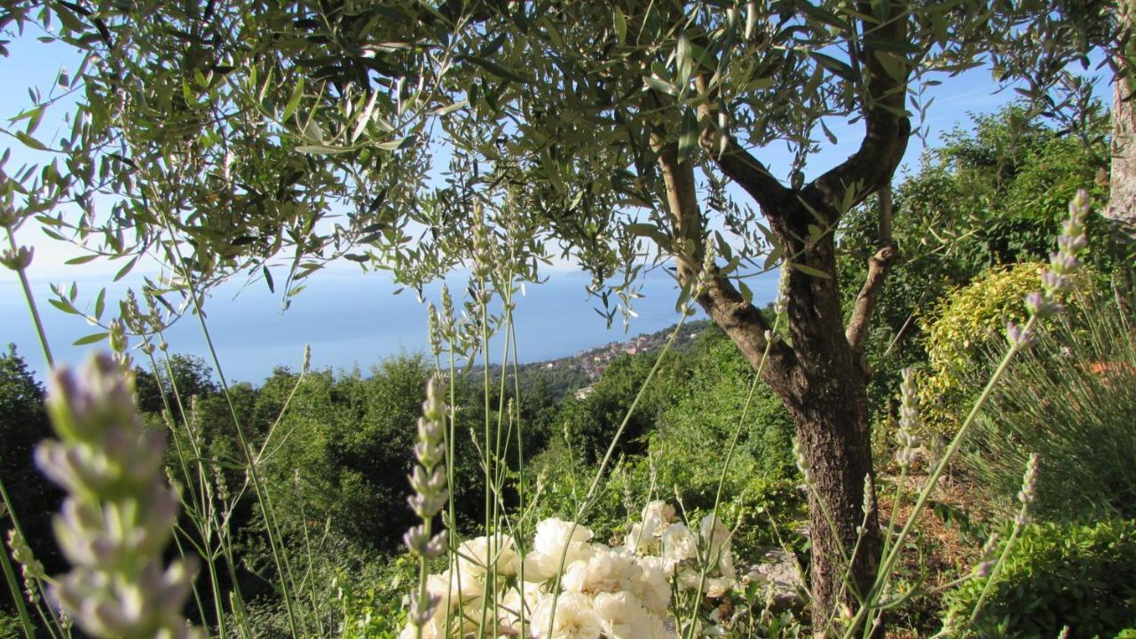 Villa CaStella Poljane Esterno foto
